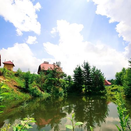 Villa Buhiv Skhidnytsia 외부 사진