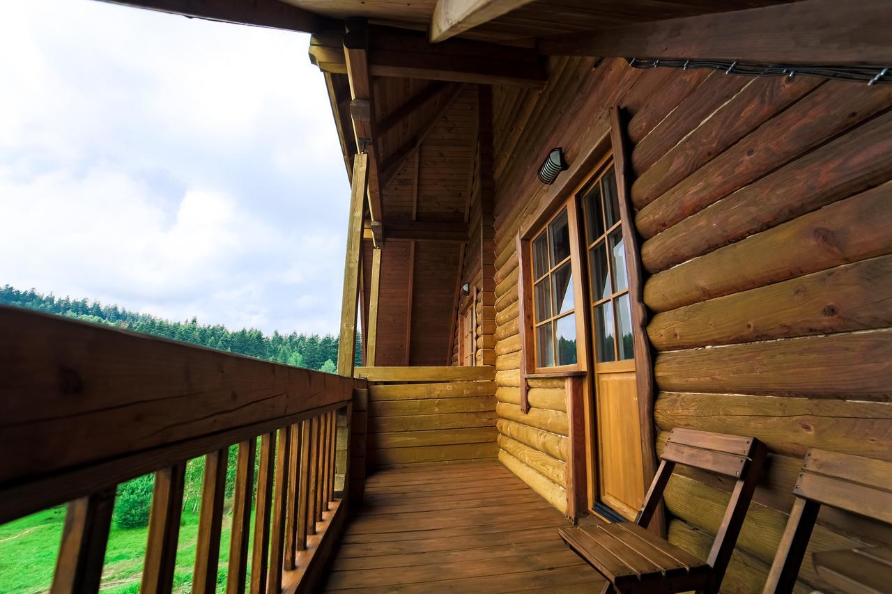 Villa Buhiv Skhidnytsia 외부 사진