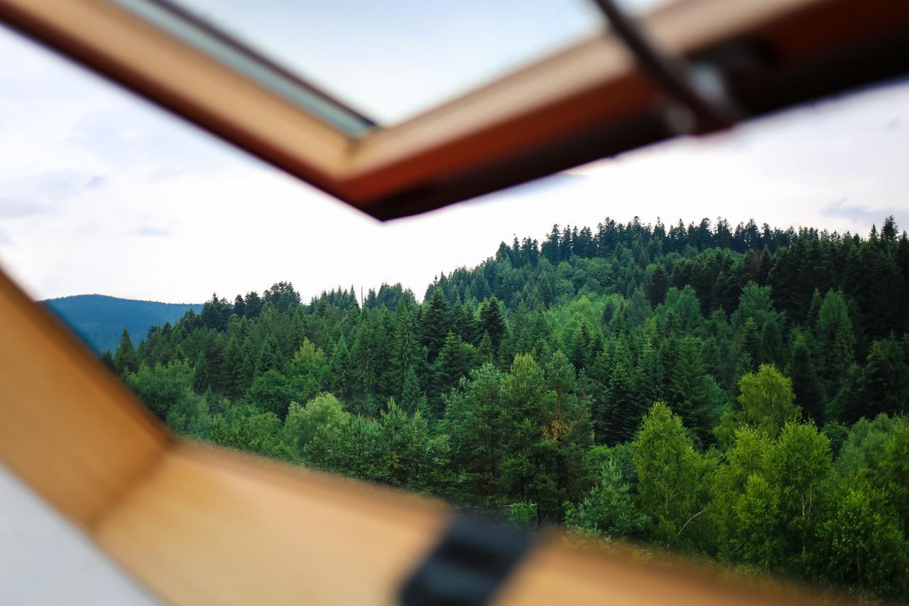 Villa Buhiv Skhidnytsia 외부 사진